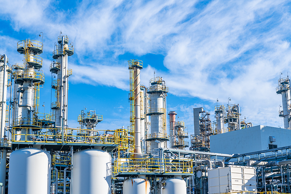 画像：サンプル